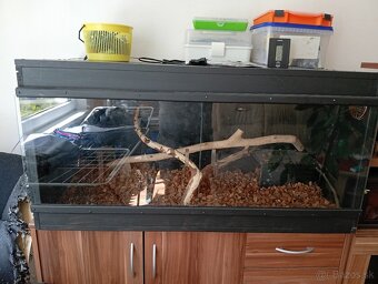 Terarium - 2