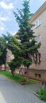 Slnečný byt v centra mesta, cena 158000€,tehlový, - 2