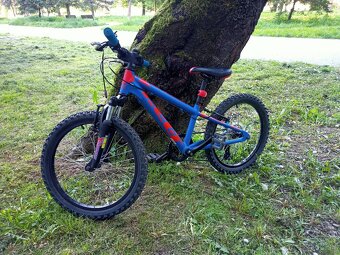 FELT Q20S 2018, model 2019 - 2