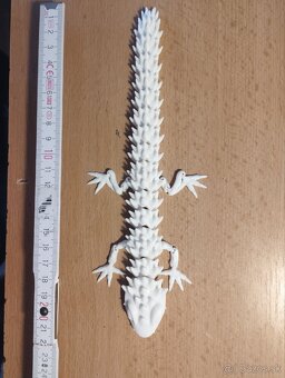 Model jašterice - 2