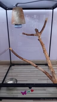 Terarium pre chameleona - 2