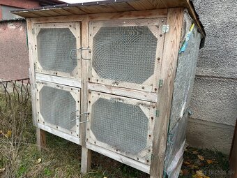 Predam Kralikaren - 2