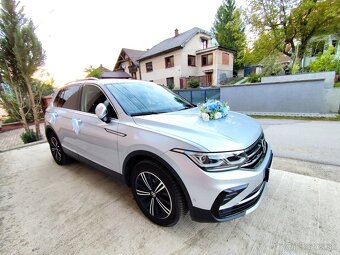 Kytica na auto - 2