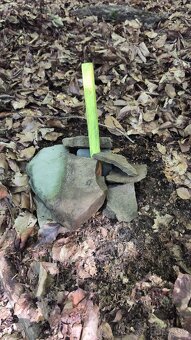 Les na predaj Bodovce - 2