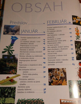 Radoslav Šrot - Rok v našej záhrade - 2