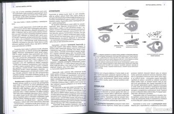 Knihy, učebnice na Medicínu PDF formát - 2
