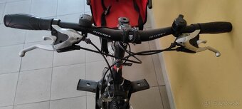 Dámsky bicykel Torpado - 2