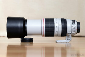 Canon EF 100-400mm f/4.5-5.6 L IS II USM - 2