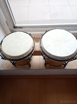 Bongo / Bonga - 2