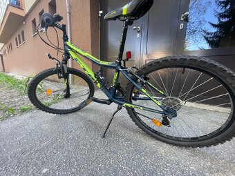 CTM BERRY 2.0 2020. 24” - 2