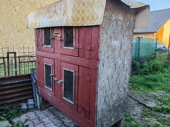 Predam zajacniky - 2