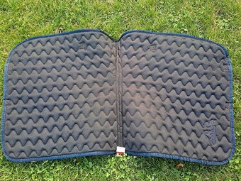 Anglická podsedlovka - 2