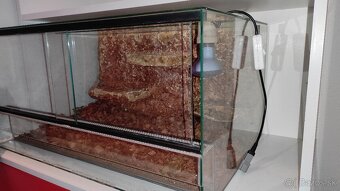 Terarium 60x40x30 - 2