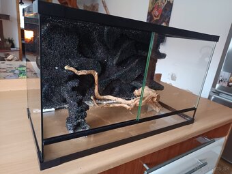 Terarium - 2