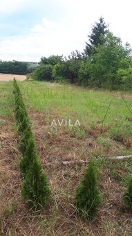 NA PREDAJ: veľká záhrada 1200m2 - Zvončín - 2
