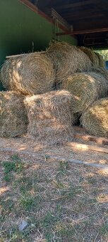 Lucerka - 2