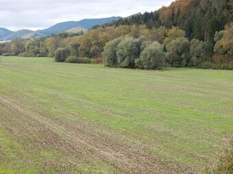 Investícia v Rajeckých Tepliciach-pozemok 24 € / m2 - 2