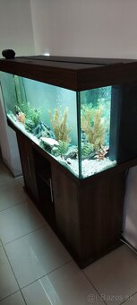 Akvarium Juwel Rio 240 - 2