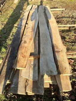 Dubové dosky neomietané - 2