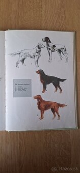 Kniha Poľovníctvo - 2