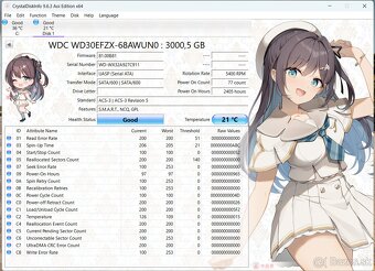 HDD WD RED 3TB - 2