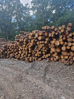 Dubové drevo_Vykurovanie_Predaj_Doprava_19112025 - 2