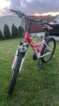 Dievčenský bicykel CTM Willy 2.0 velkost 24 - 2
