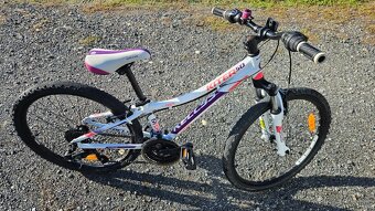 Kellys kiter 50 - 2