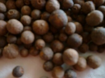 Nové korenie celé - 2