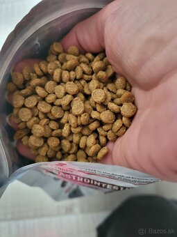 Royal canin-gastrointestinal low fat small 1.5kg - 2