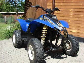 Polaris Trailblazer . - 2