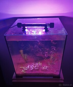 Akvarium 30x30x30cm - 2