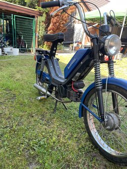 Babetta210 - 2