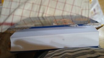 Dejiny umenia velka encyklopedia - 2