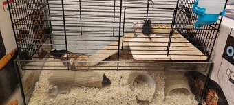 Predám pieskomily - 2