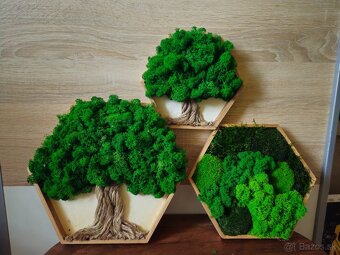 Machový obraz hexagón na mieru - 2