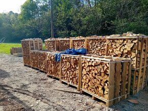 Palivové drevo BUK - 2