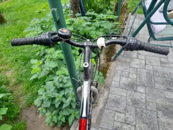 Bicykel cobra - 2