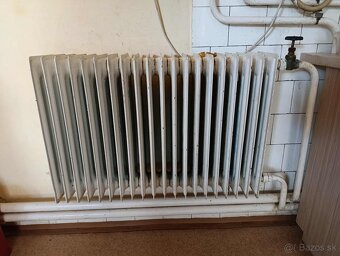 Predam Protherm Tiger plynovy kotol - 2