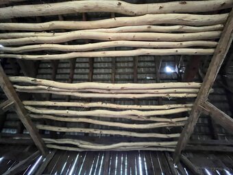 Staré drevo, guľatina - 2