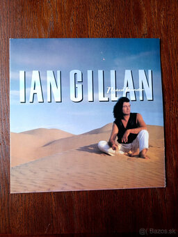 LP platne - zahraniční interpreti - 2