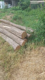 Stlpy Agatove koly - 2