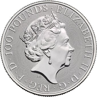 Investičná minca - platina 1 Oz, 2020 Falcon of the Plantage - 2