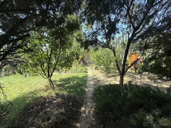 Predaj záhradky – Šaľa, Váhová ulica (pri klzisku) - 2