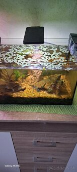 Predávam akvarium - 2