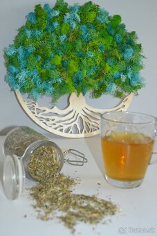 Bylinný čaj proti hučaniu a pískaniu v ušiach - 2