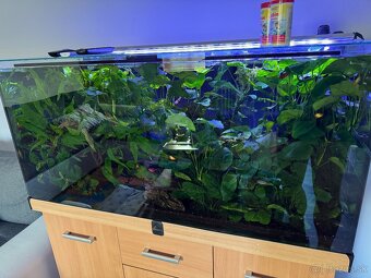 Akvariovy set - 2