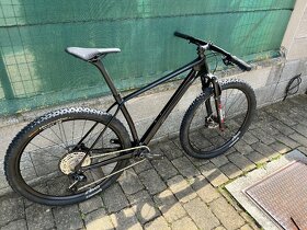 Workswell 29er Carbon HT - 2