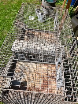 Predam chovne klietky činčila, kralik, prepelica - 2