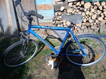 Pánsky bicykel - 2